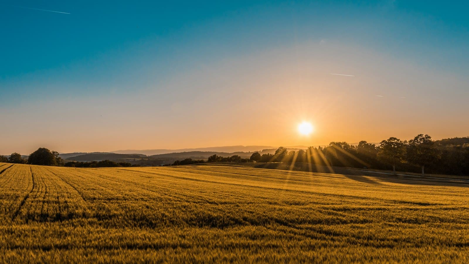 Open land at golden hour